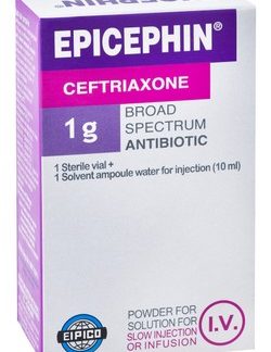 EPICEPHIN 1 GM I V 1 VIAL
