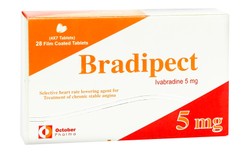 BRADIPECT 5MG 28T