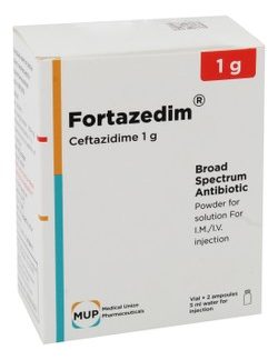 FORTAZEDIM 1 GM 1 VIAL