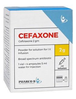 CEFAXONE 2 GM 1VIAL IV