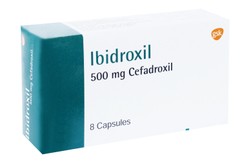 IBIDROXYL 500 MG 8 CAP