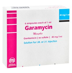 GARAMYCIN 40 MG / 2 ML 6 AMP