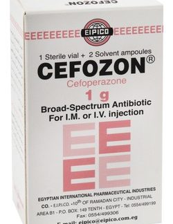 CEFOZONE 1GM 1VIAL