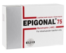 EPIGONAL 75 1 AMP