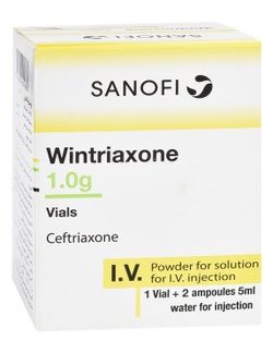 WINTRIAXONE 1GM IV 1 VIAL