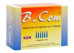 B - COM 6 AMP 2 ML FM